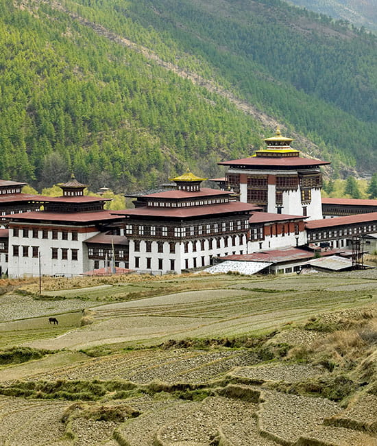 Peaceful Bhutan Retreat