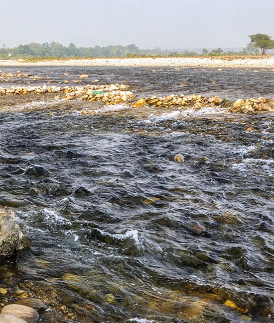 Dooars Nature Escape